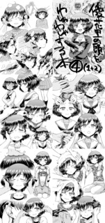 sample.jpg